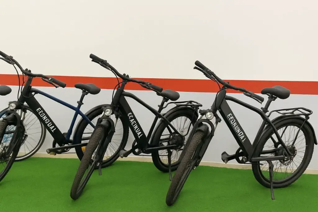 Patanjali electric cycle